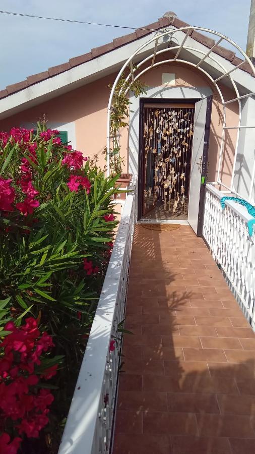 Vila Mansarda A Noli Exteriér fotografie
